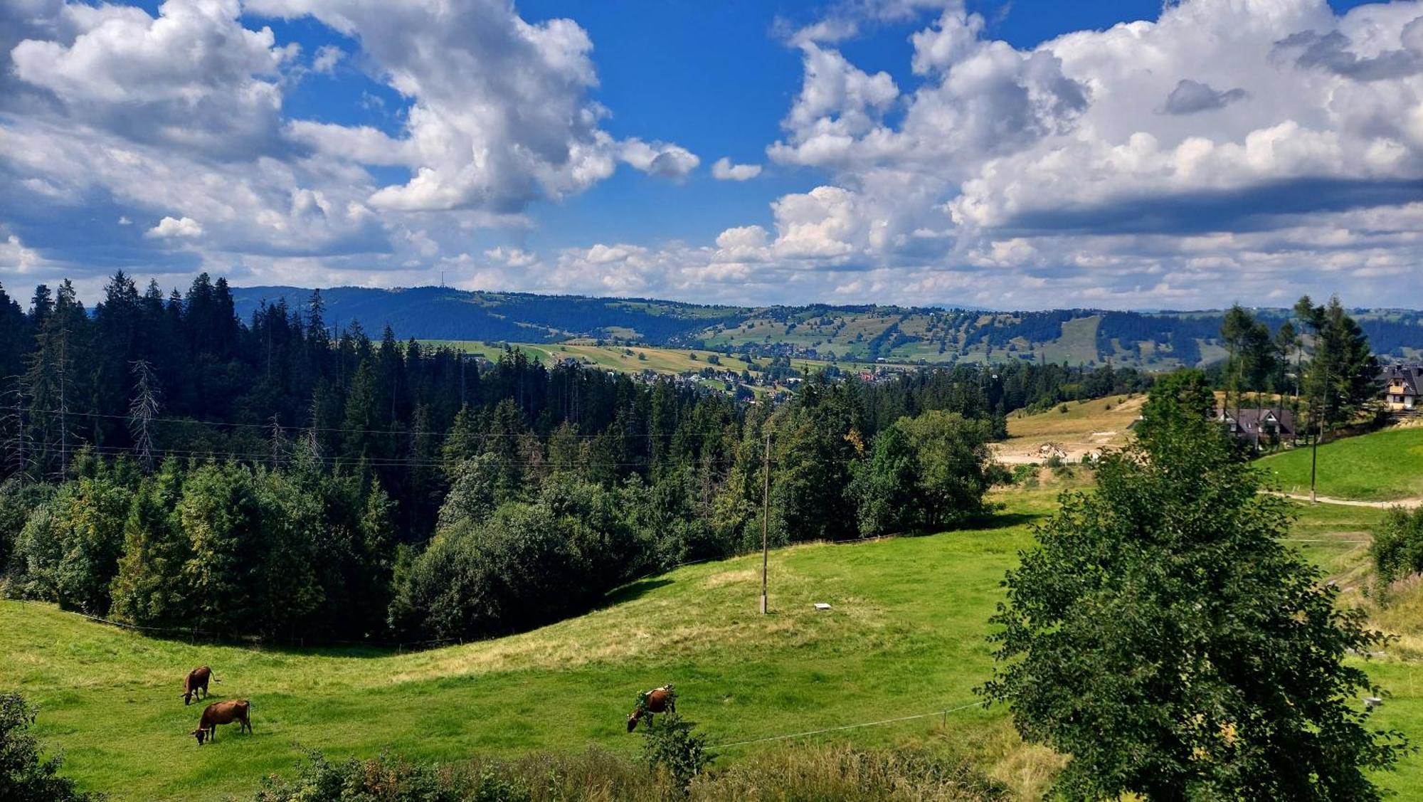 Willa Posrednia Zakopane Buitenkant foto