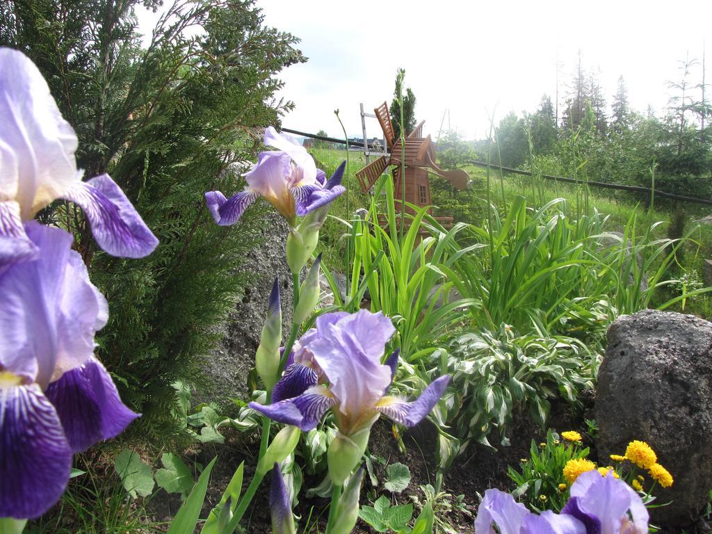 Willa Posrednia Zakopane Buitenkant foto