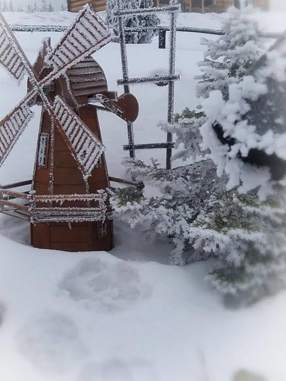 Willa Posrednia Zakopane Buitenkant foto